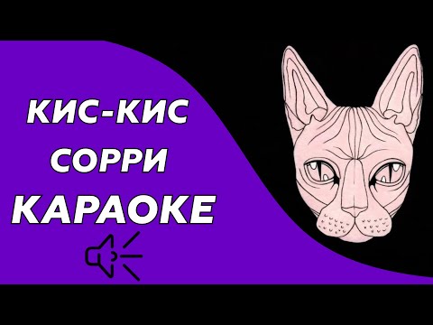 Кис-Кис - Сорри