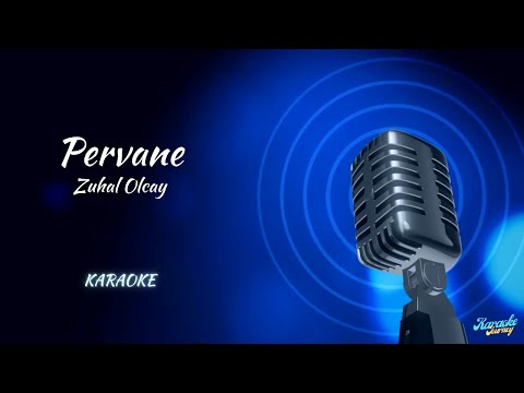 Zuhal Olcay / Pervane