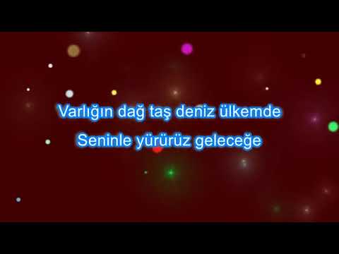Ben Seni Görmeden Sevdim