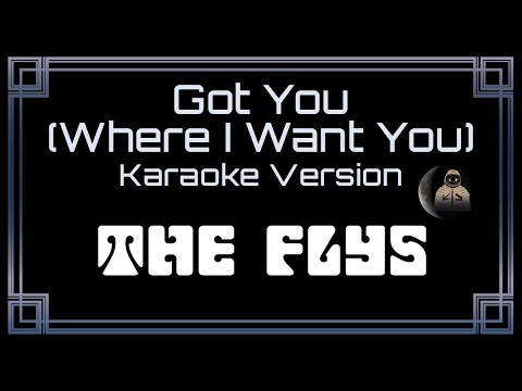 The Flys - Got You (Where I Want You)