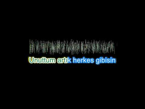 Semicenk - Herkes Gibisin