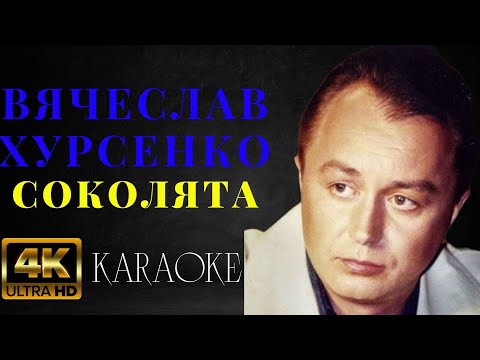 Вячеслав Хурсенко - Соколята