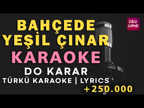 Bahçede Yeşil Çınar - Do