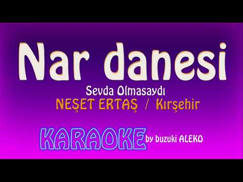 Nar Danesi / Sevda Olmasaydı da