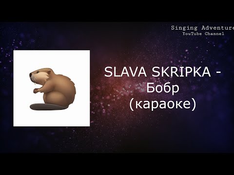 SLAVA SKRIPKA - Бобр