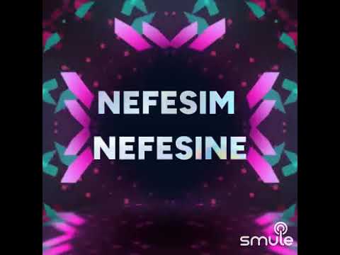 Nefesim nefesine