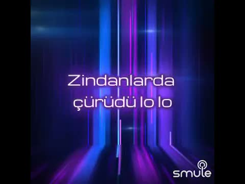 Lo lo