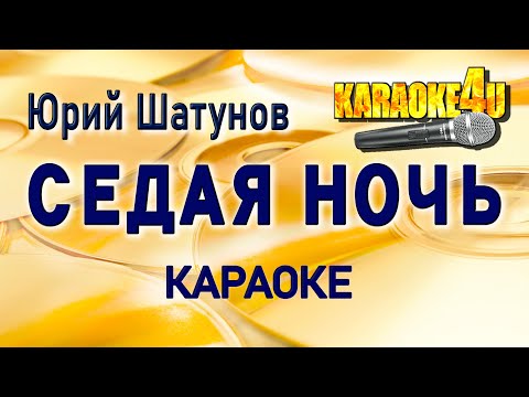 Юрий Шатунов - Седая ночь
