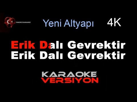 ERİK DALI Gevrektir