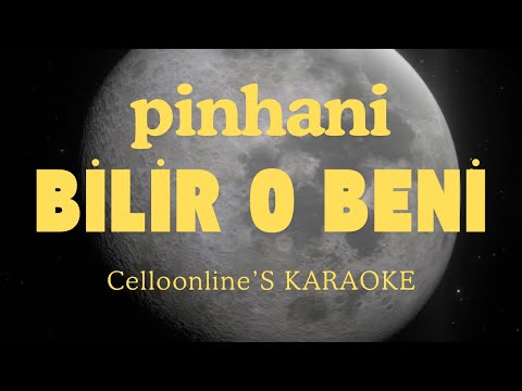 Pinhani - Bilir O Beni | %100 Altyapı