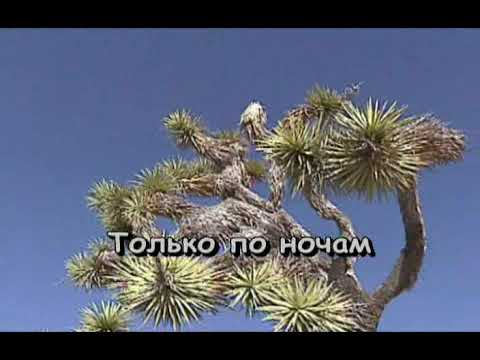 Игорь Николаев - Старая мельница
