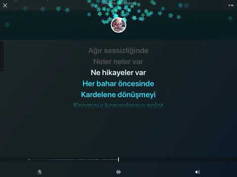 Şebnem ferah - Yalnız