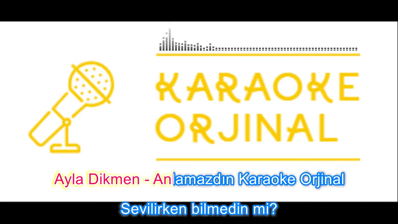 Ayla Dikmen - Anlamazdın