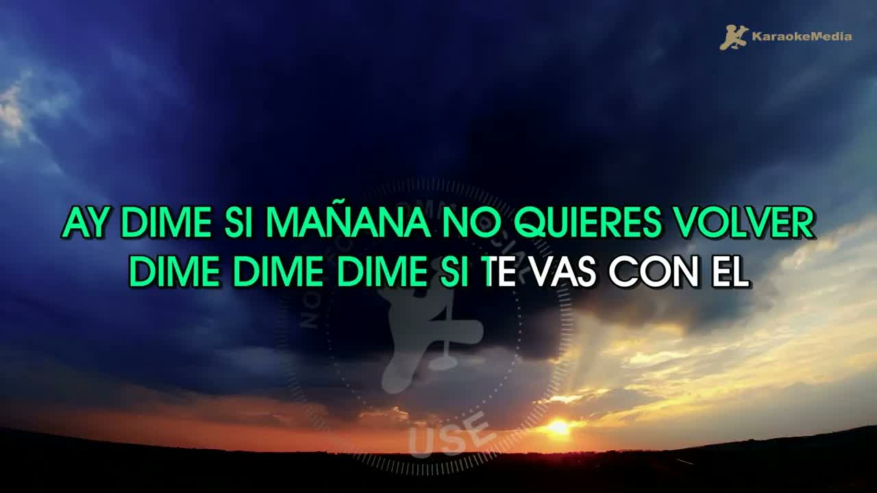 FLEX - DIME SI TE VAS CON EL