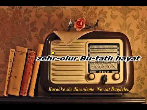 karaöke sevil neşelen