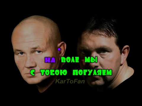 Бутырка - Шарик
