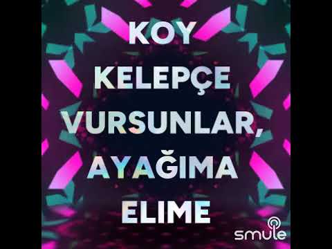 Yar diline