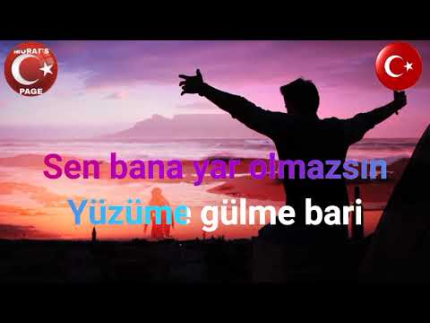 Bahçada Yeşil Çınar