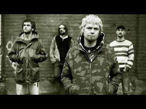 7 раса - родятся дети