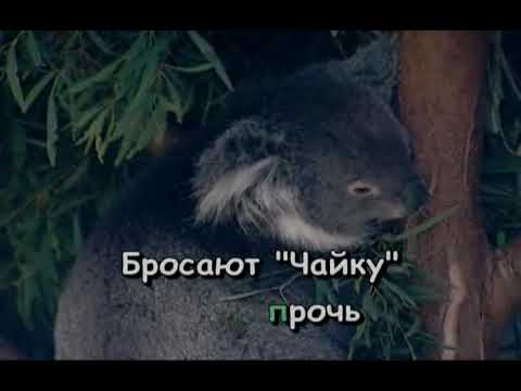 Браво - Жёлтые ботинки