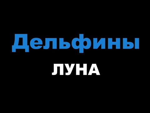 ЛУНА - Дельфины