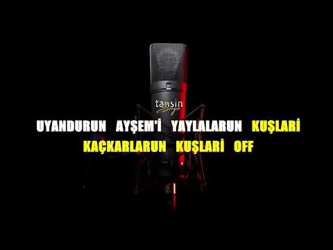 Büşra Kartal - Ayşem