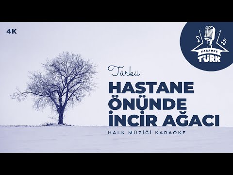 I Hastane Önünde İncir Ağacı I RE