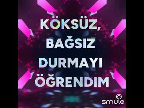 Senden öğrendim