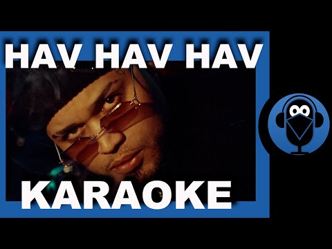 LVBEL C5 - HAVHAVHAV