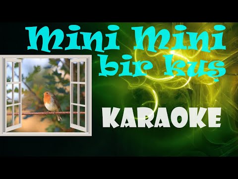 Mini Mini Bir Kuş