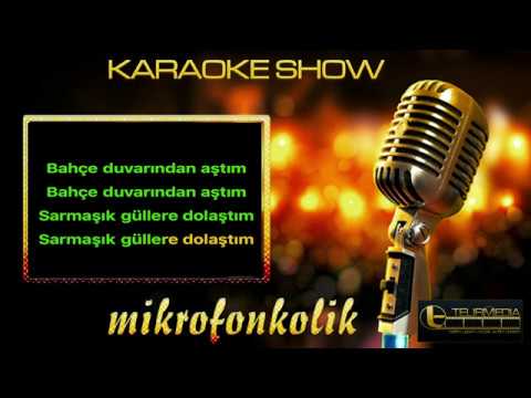 BAHÇE DUVARINDAN AŞTIM