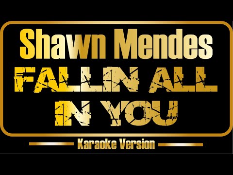Shawn Mendes - Fallin All in You
