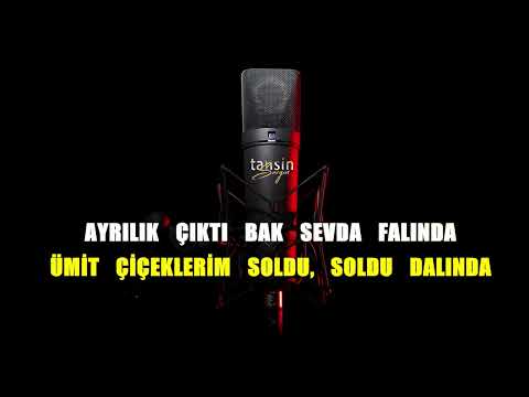 Semicenk - Batık Gemi