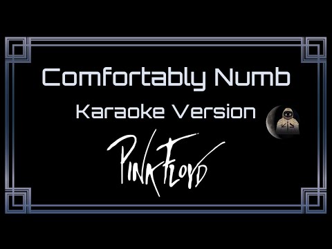 Pink Floyd Comfortably Numb