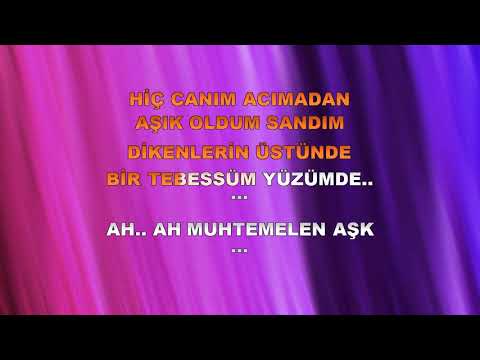 GRİPİN Muhtemel Aşk