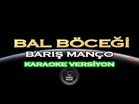 Barış Manço Bal Böceği