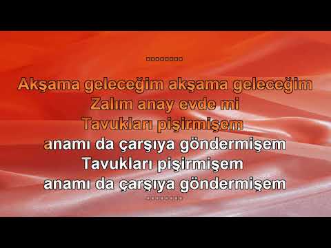 TAVUKLARI PİŞİRMİŞEM
