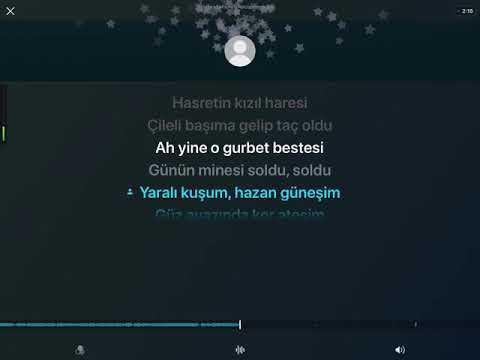 Sezen Aksu - Yarası saklım