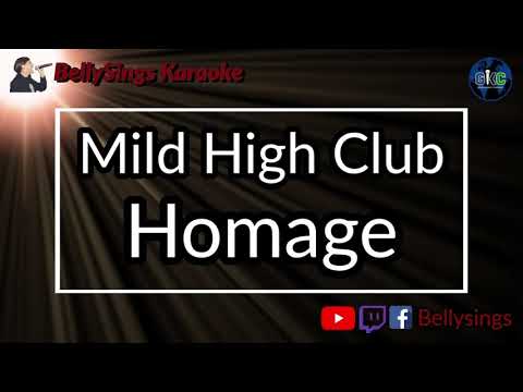 Mild High Club - Homage