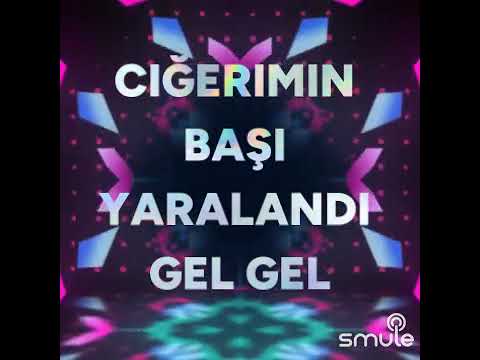 Bağlandı yollarım