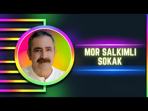 Fatih Kısaparmak - Mor Salkımlı Sokak