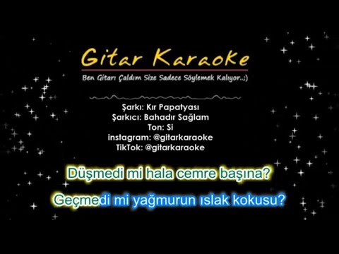 Kır Papatyası