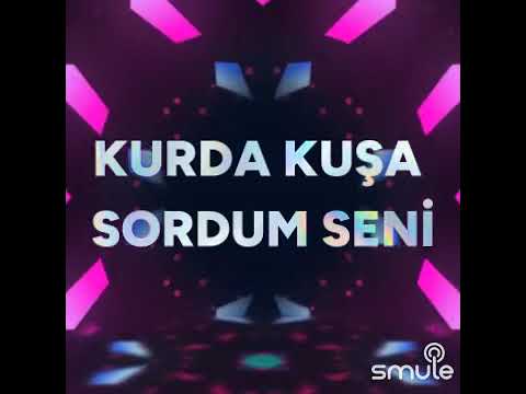 Söyle nerdesin