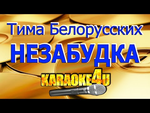 Тима Белорусских - Незабудка